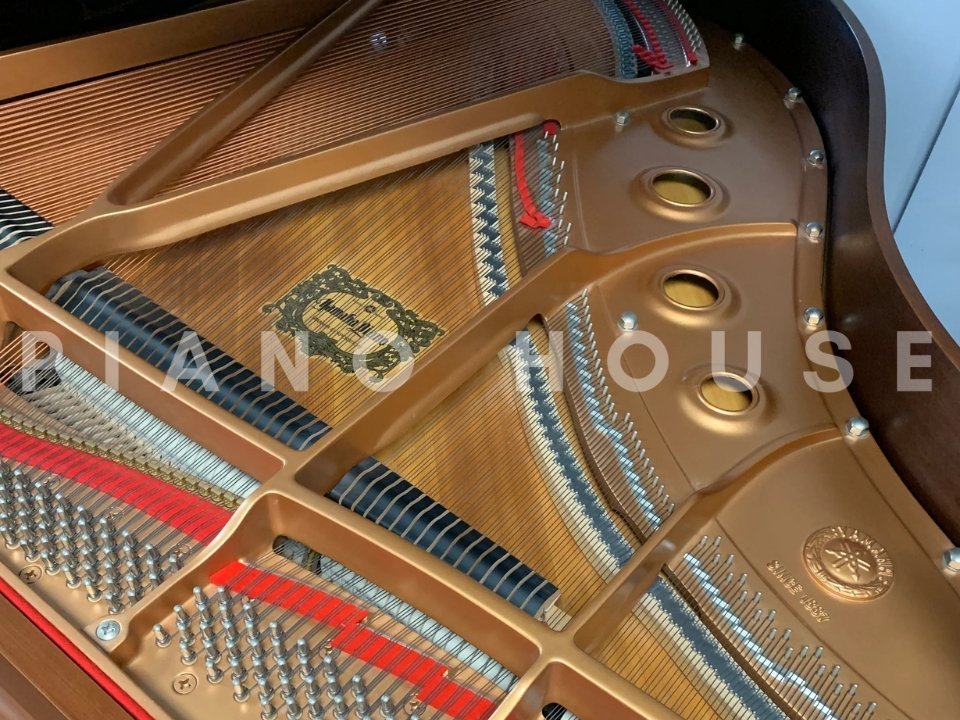 Chi tiết đàn YAMAHA GC1 FP - Hình 4